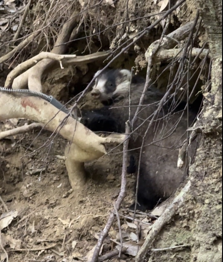 狩猟者登録について。猟友会に加入しなくても狩猟者登録はできる！