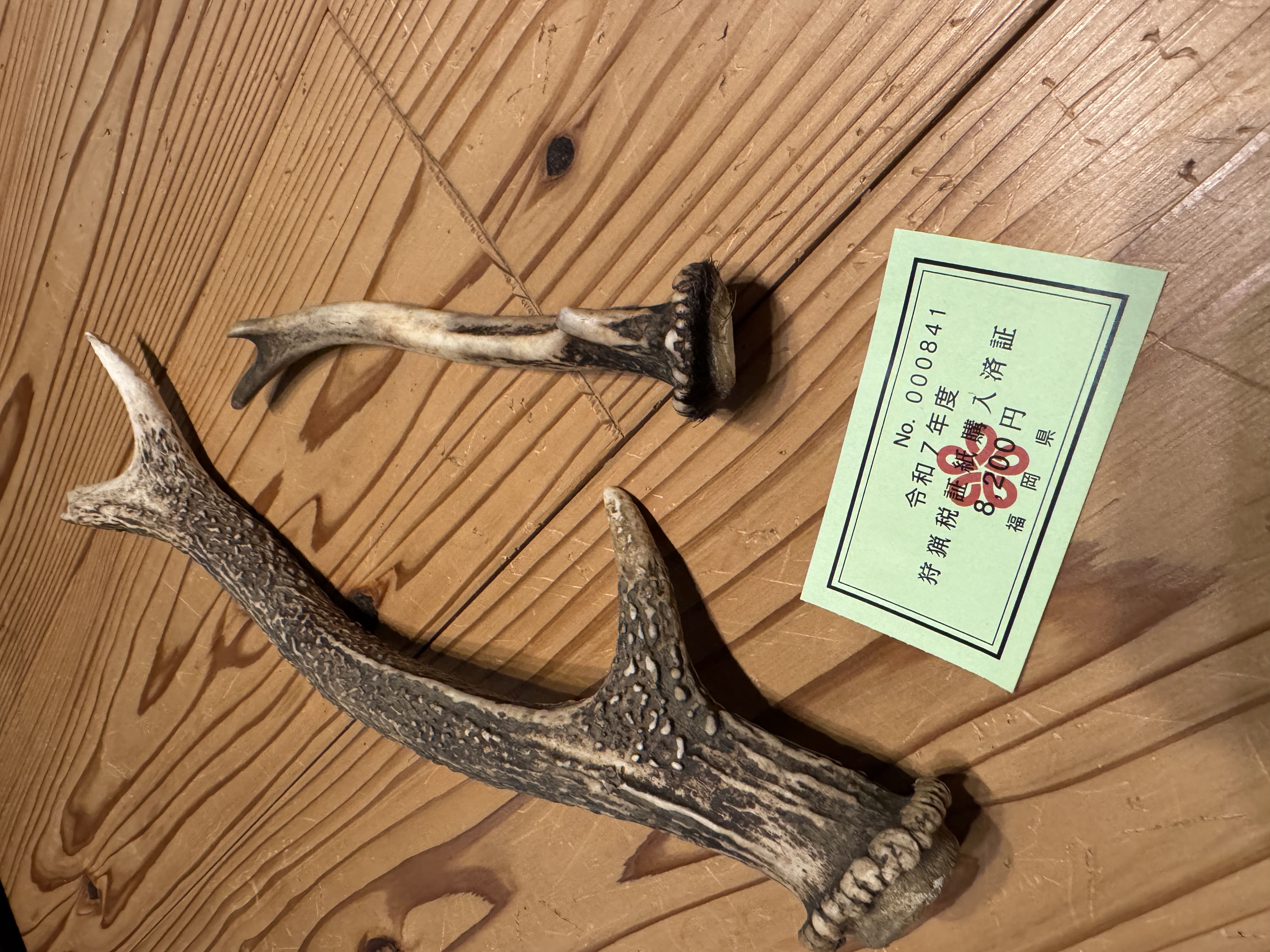 【わな猟一年目】狩猟者登録にかかった費用をまとめました。全国＋福岡